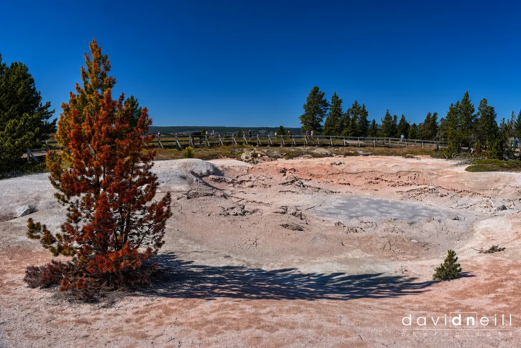 Yellowstone Mud Pots 2023