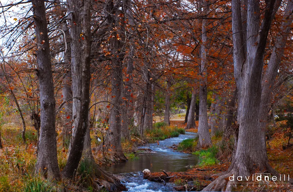 Texas Hill Country Upper Guadalupe Fall 2010
